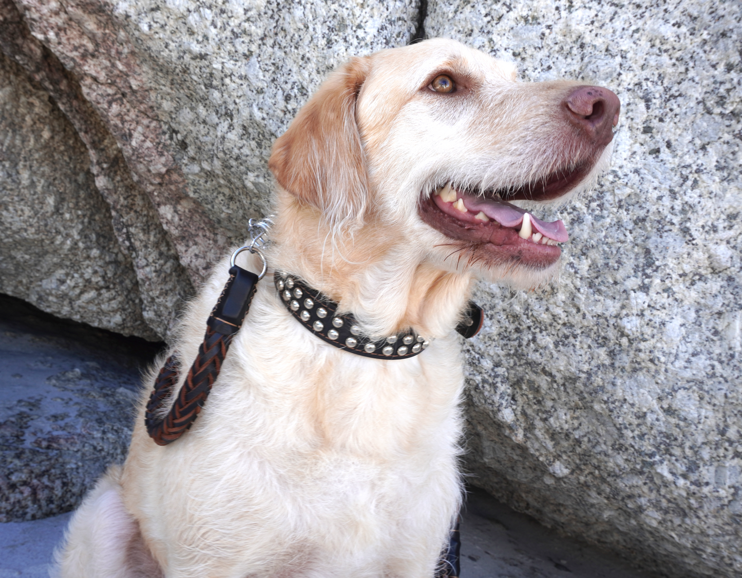 Luxury Heavy Duty Braded Leash and Collar